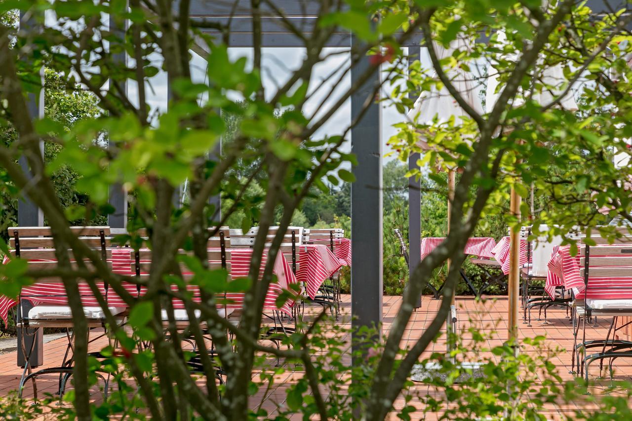 H.W.S. Hotel Der Wilde Schwan Sagard Dış mekan fotoğraf